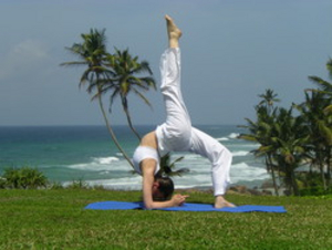 Yoga Vidya Aschaffenburg