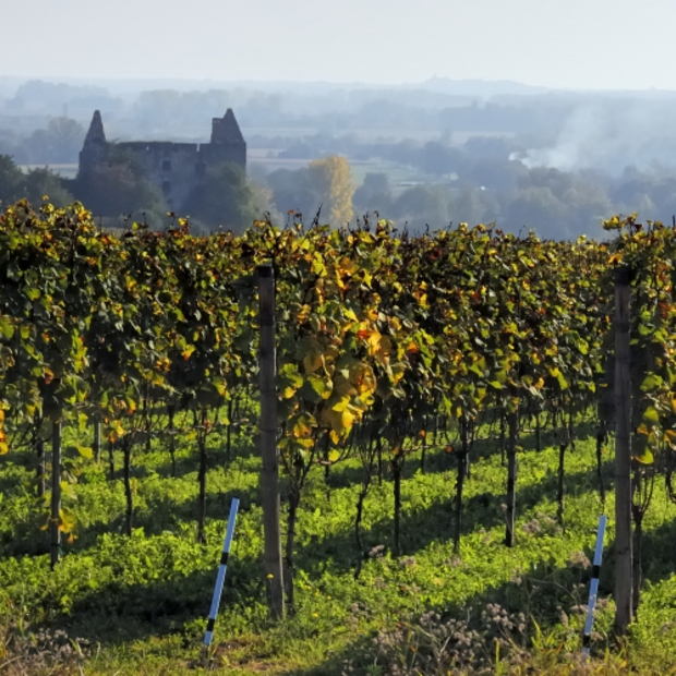 Wellnesshotel Kaiserstuhl