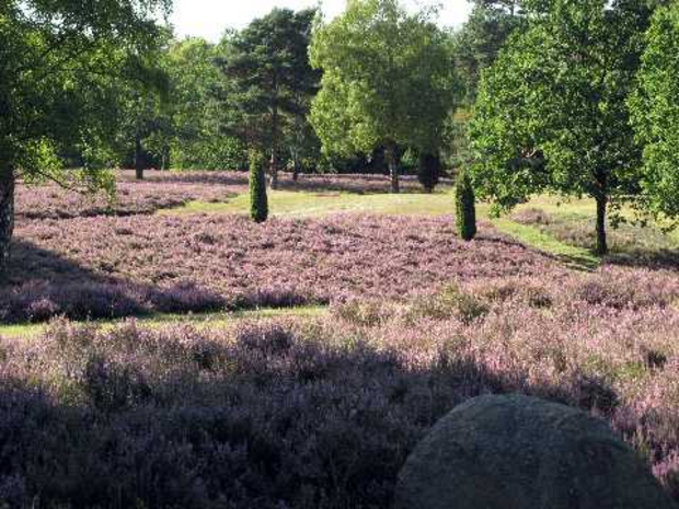 Wellness Kurzurlaub Lüneburger Heide