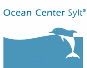 Yoga Sylt Ocean Center Rantum