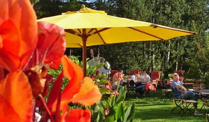 Hotel Villa Waldfrieden
Hotel Villa Waldfrieden Gartenbereich
Hotel Villa Waldfrieden Gartenbereich
Hotel Villa Waldfrieden Ruheraum
Hotel Villa Waldfrieden Hotelzimmer