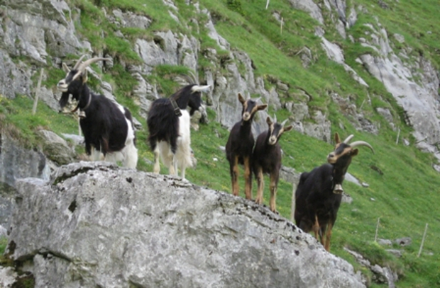 Wellness Kurzurlaub Berner Oberland