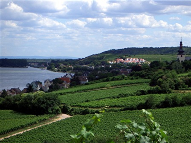 Wellness Kurzurlaub Rheinhessen