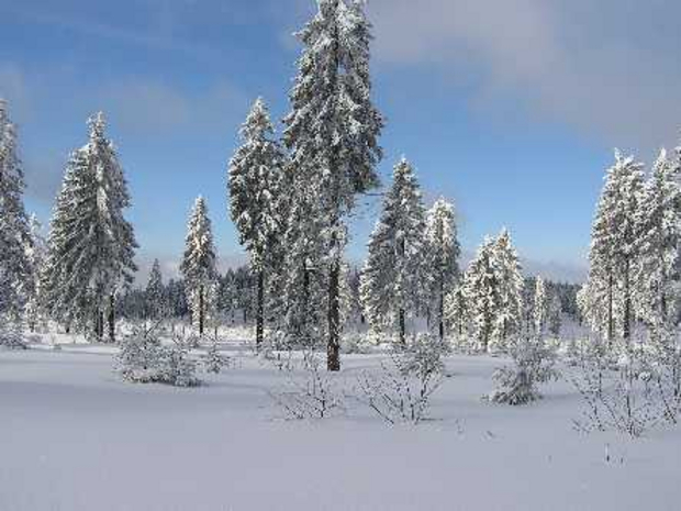 Wellness Bayerischer Wald